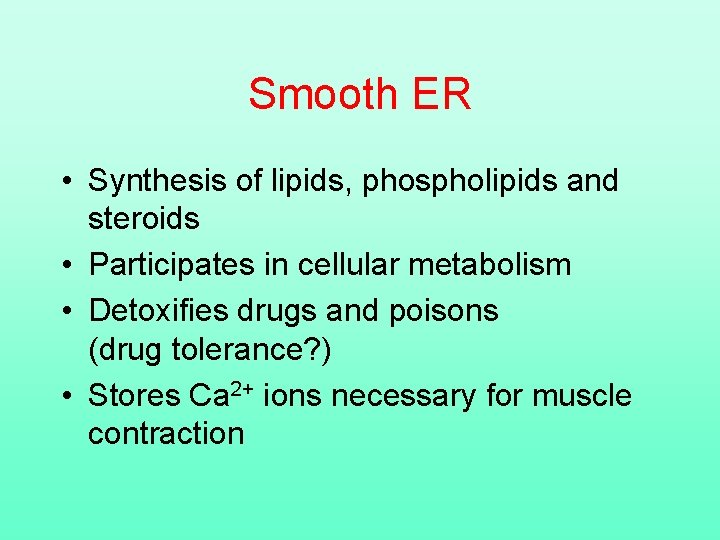 Smooth ER • Synthesis of lipids, phospholipids and steroids • Participates in cellular metabolism