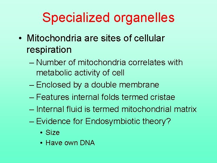 Specialized organelles • Mitochondria are sites of cellular respiration – Number of mitochondria correlates