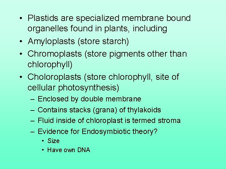  • Plastids are specialized membrane bound organelles found in plants, including • Amyloplasts