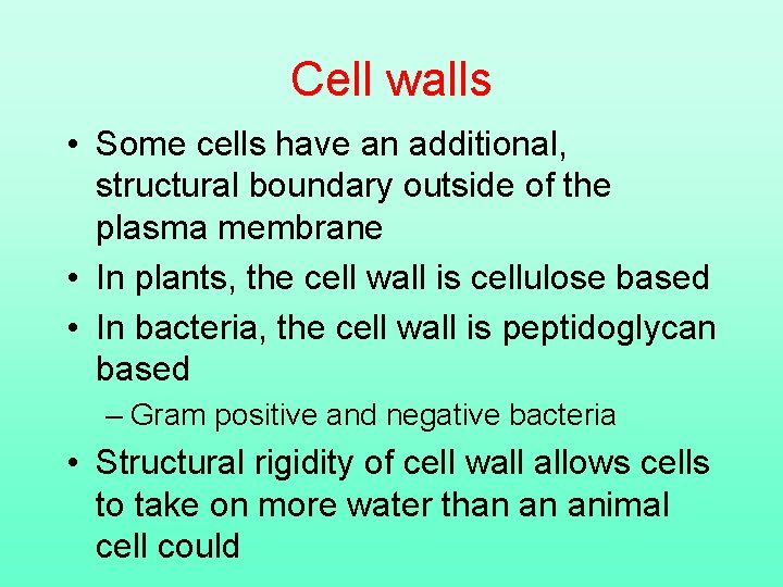 Cell walls • Some cells have an additional, structural boundary outside of the plasma