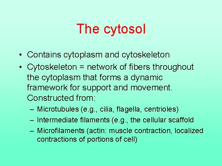 The cytosol • Contains cytoplasm and cytoskeleton • Cytoskeleton = network of fibers throughout