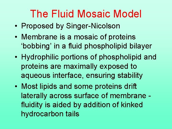 The Fluid Mosaic Model • Proposed by Singer-Nicolson • Membrane is a mosaic of
