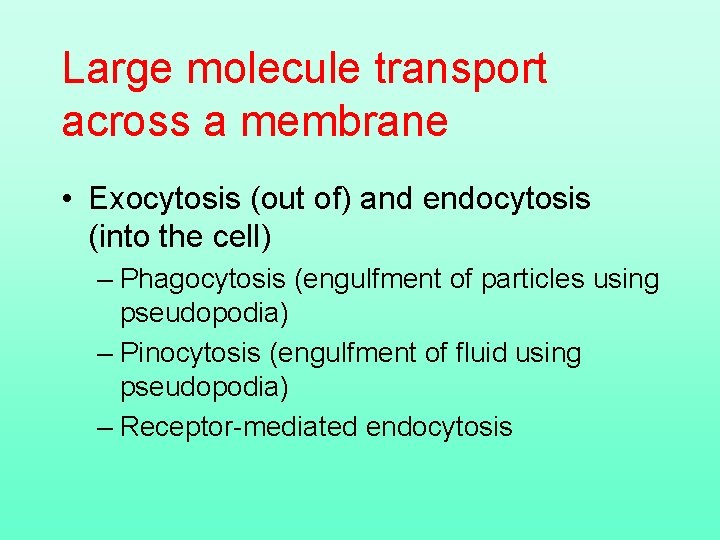 Large molecule transport across a membrane • Exocytosis (out of) and endocytosis (into the