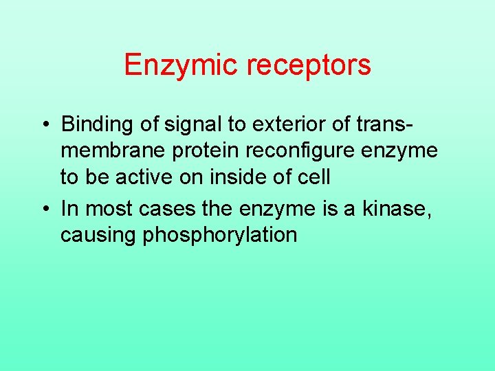 Enzymic receptors • Binding of signal to exterior of transmembrane protein reconfigure enzyme to