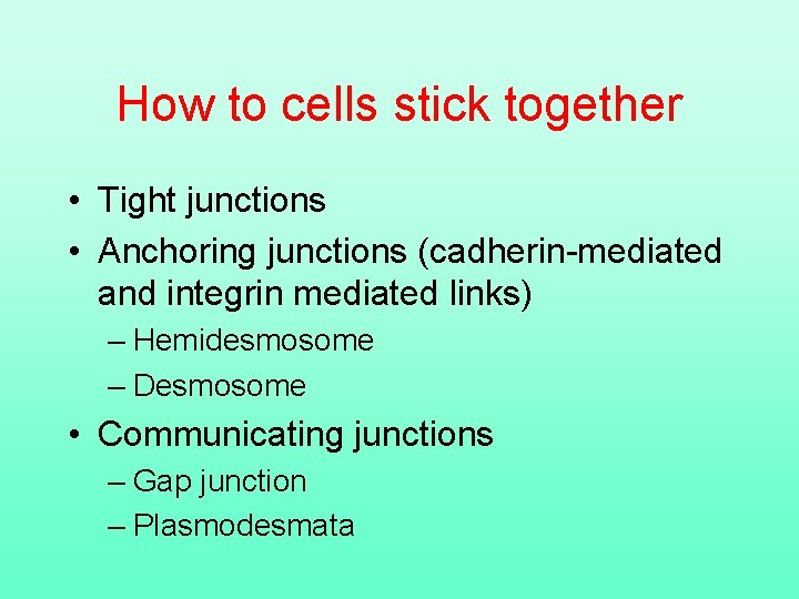 How to cells stick together • Tight junctions • Anchoring junctions (cadherin-mediated and integrin