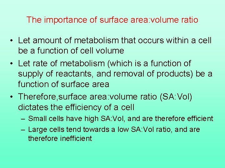 The importance of surface area: volume ratio • Let amount of metabolism that occurs