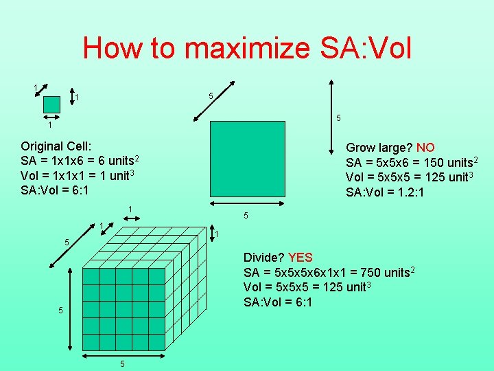 How to maximize SA: Vol 1 5 1 Original Cell: SA = 1 x