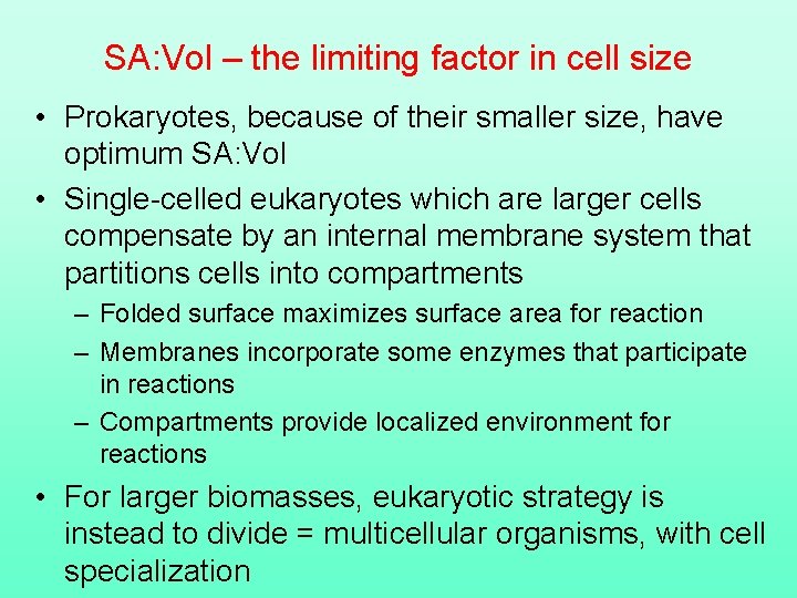 SA: Vol – the limiting factor in cell size • Prokaryotes, because of their