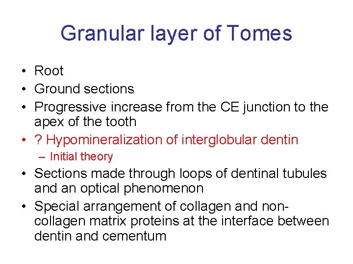 Granular layer of Tomes • Root • Ground sections • Progressive increase from the
