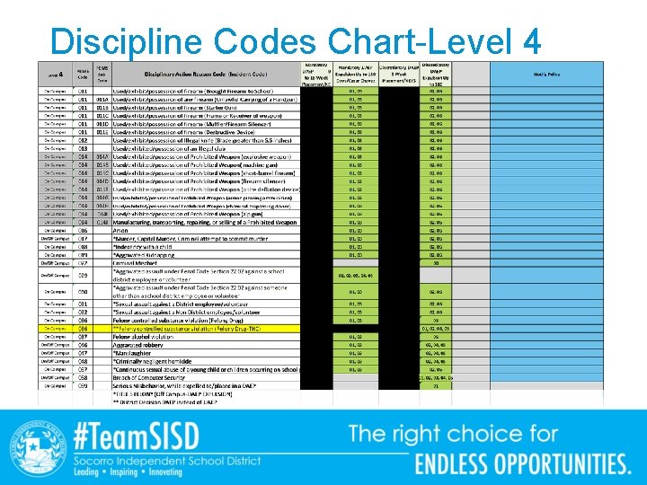 Discipline Codes Chart-Level 4 