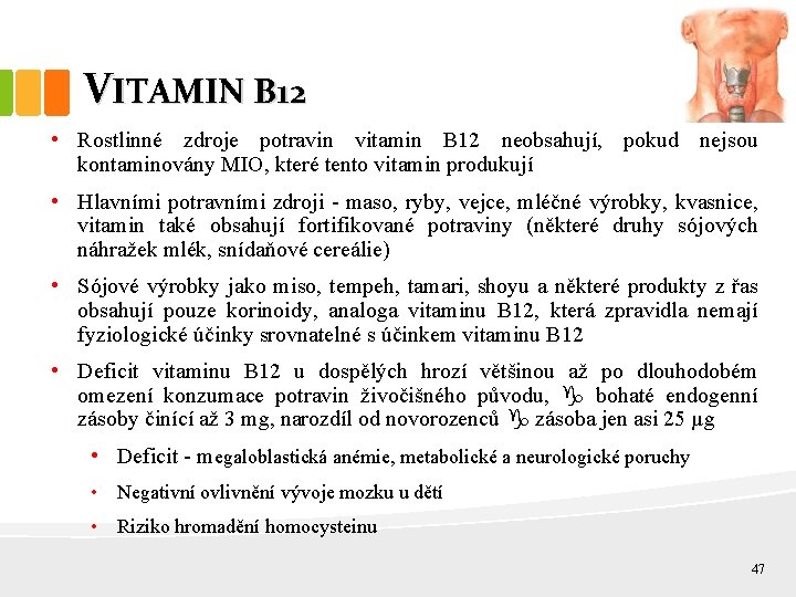 VITAMIN B 12 • Rostlinné zdroje potravin vitamin B 12 neobsahují, pokud nejsou kontaminovány