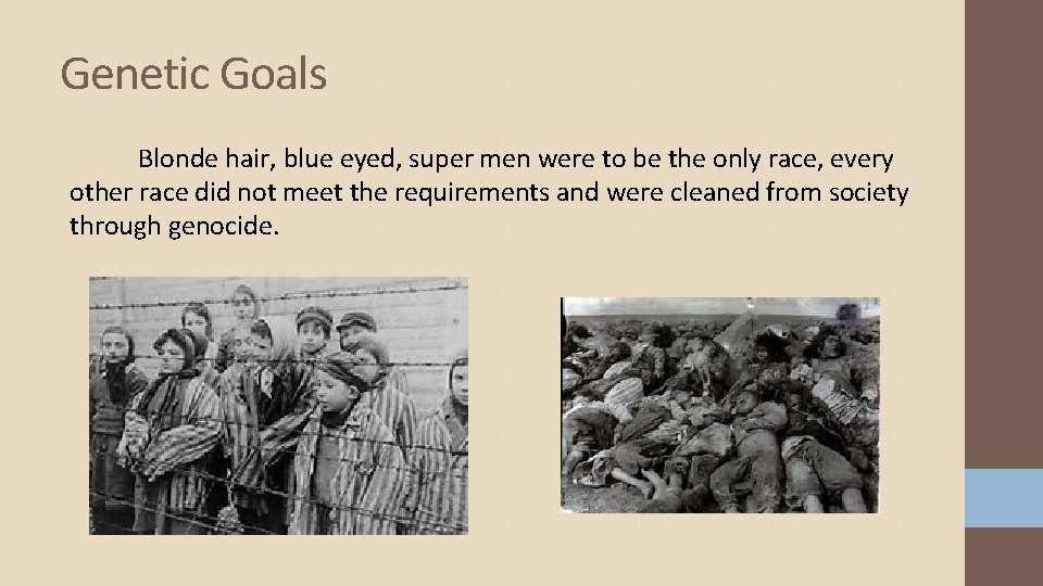 Genetic Goals Blonde hair, blue eyed, super men were to be the only race,