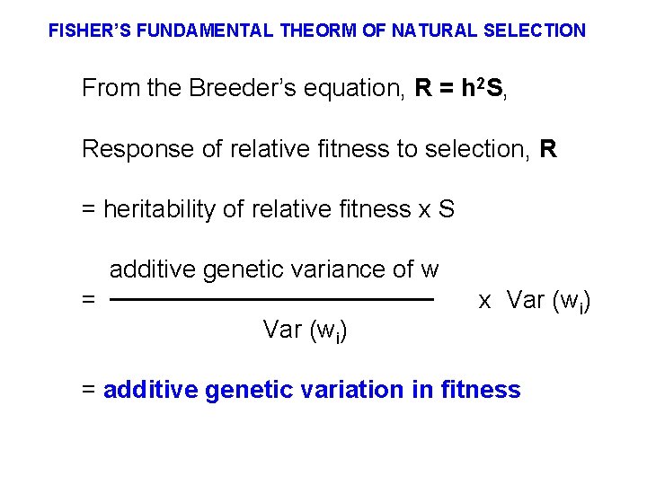 FISHER’S FUNDAMENTAL THEORM OF NATURAL SELECTION From the Breeder’s equation, R = h 2