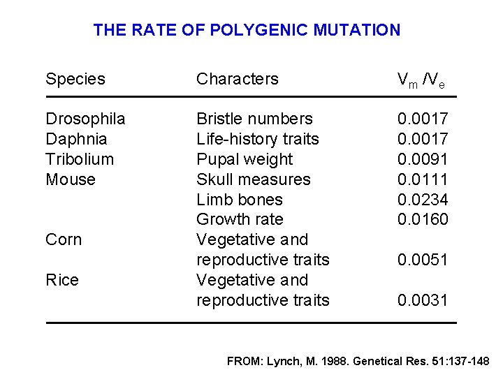 THE RATE OF POLYGENIC MUTATION Species Characters Vm /Ve Drosophila Daphnia Tribolium Mouse Bristle