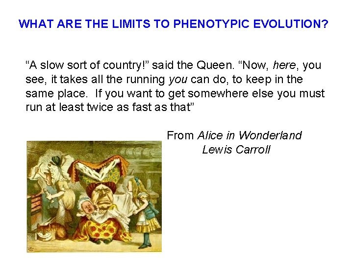 WHAT ARE THE LIMITS TO PHENOTYPIC EVOLUTION? “A slow sort of country!” said the