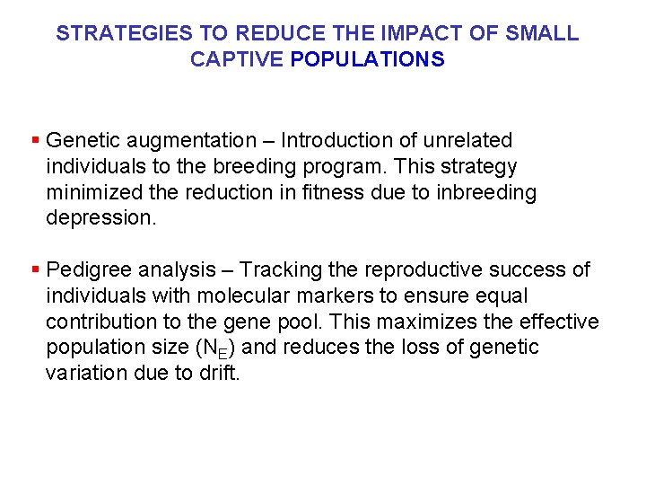 STRATEGIES TO REDUCE THE IMPACT OF SMALL CAPTIVE POPULATIONS § Genetic augmentation – Introduction