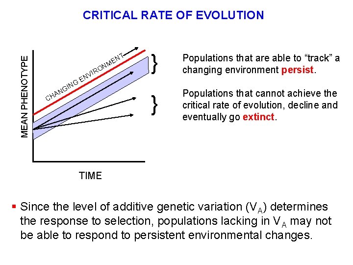 MEAN PHENOTYPE CRITICAL RATE OF EVOLUTION VIR ING T EN M ON EN G