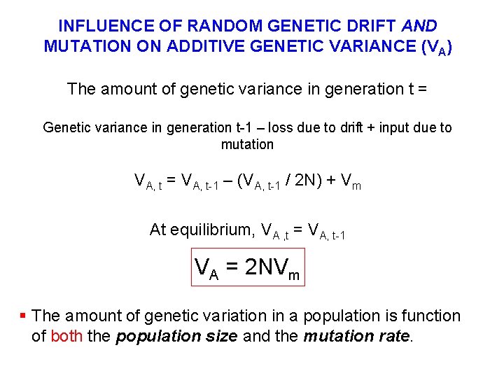 INFLUENCE OF RANDOM GENETIC DRIFT AND MUTATION ON ADDITIVE GENETIC VARIANCE (VA) The amount