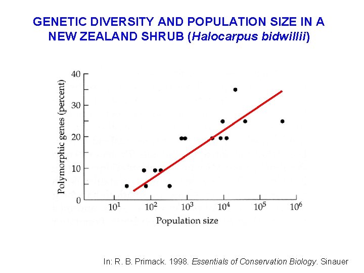 GENETIC DIVERSITY AND POPULATION SIZE IN A NEW ZEALAND SHRUB (Halocarpus bidwillii) In: R.