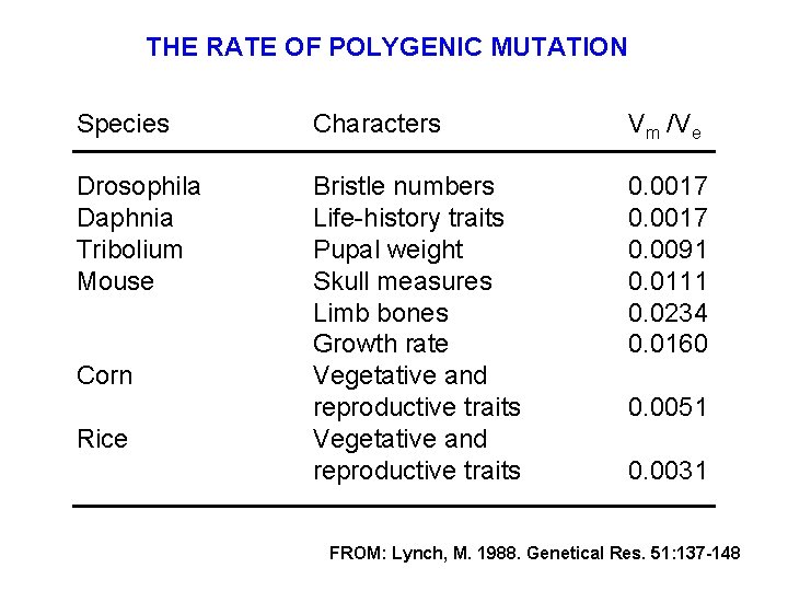 THE RATE OF POLYGENIC MUTATION Species Characters Vm /Ve Drosophila Daphnia Tribolium Mouse Bristle