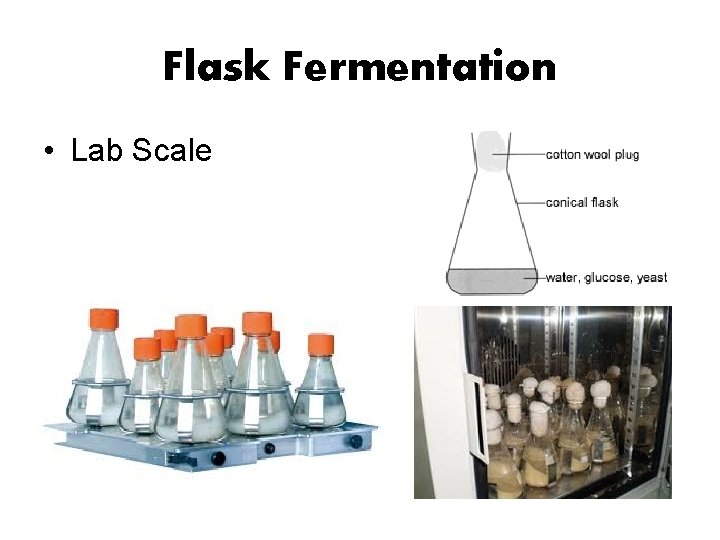 Flask Fermentation • Lab Scale Flask Fermentation • Lab Scale