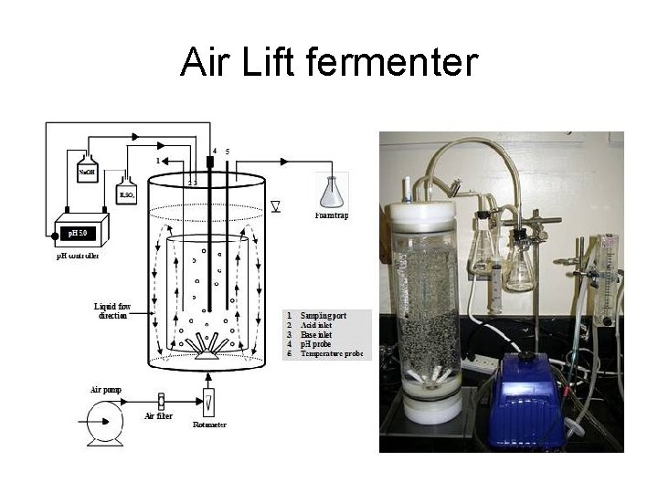 Air Lift fermenter Air Lift fermenter