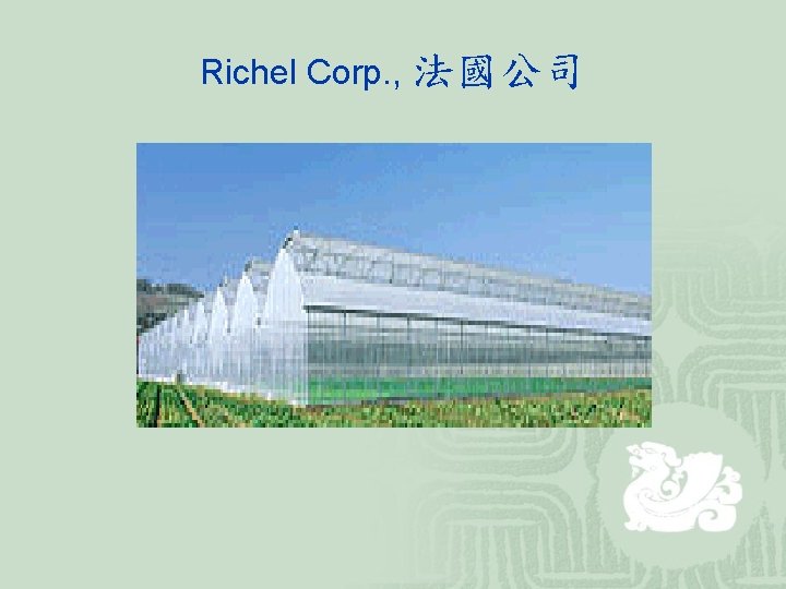 Richel Corp. , 法國公司 