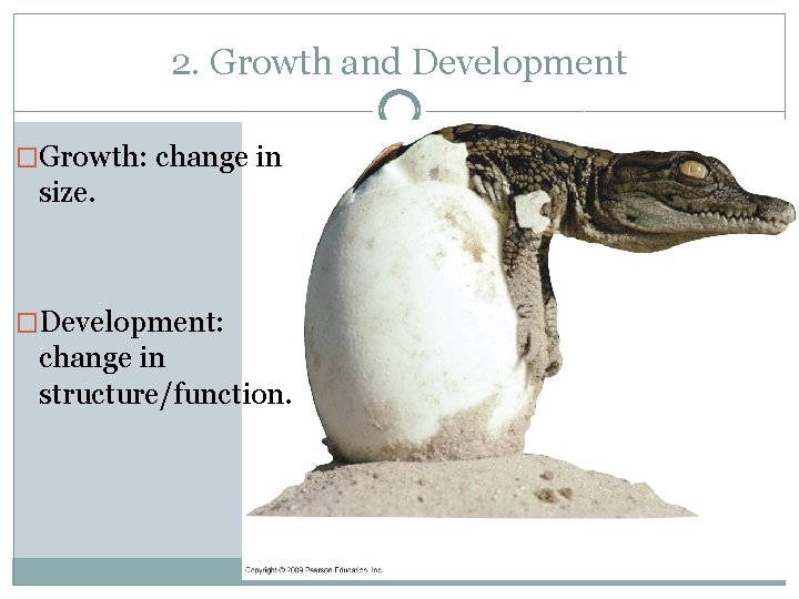 2. Growth and Development �Growth: change in size. �Development: change in structure/function. 