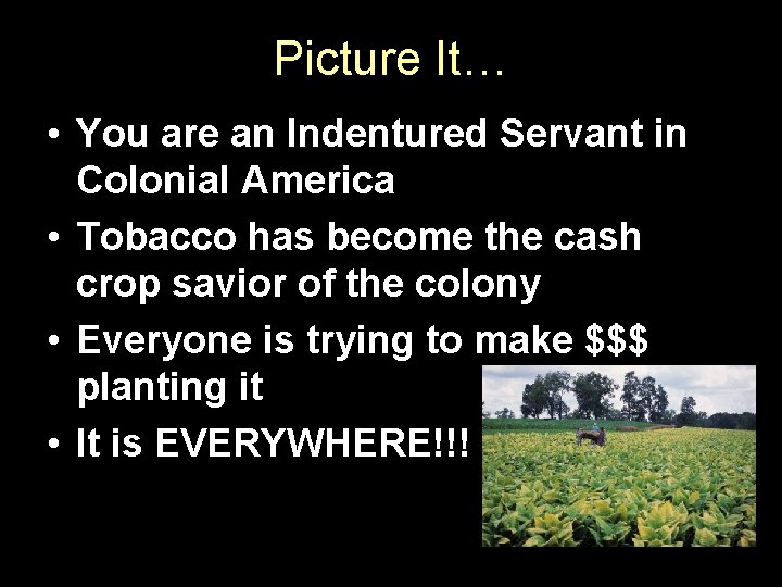 Picture It… • You are an Indentured Servant in Colonial America • Tobacco has