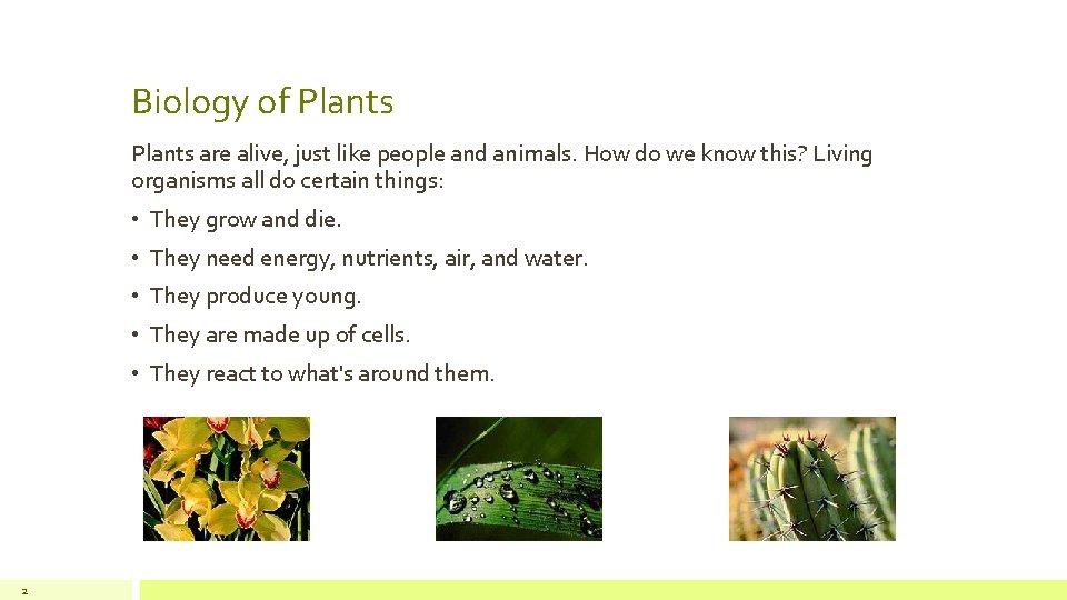Biology of Plants are alive, just like people and animals. How do we know