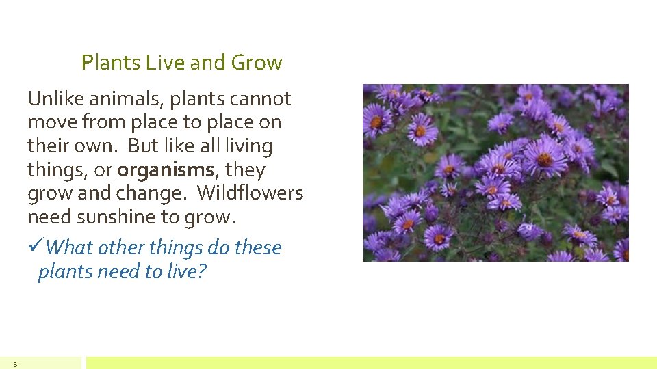 Parts of a Plant quest Learn About Plant