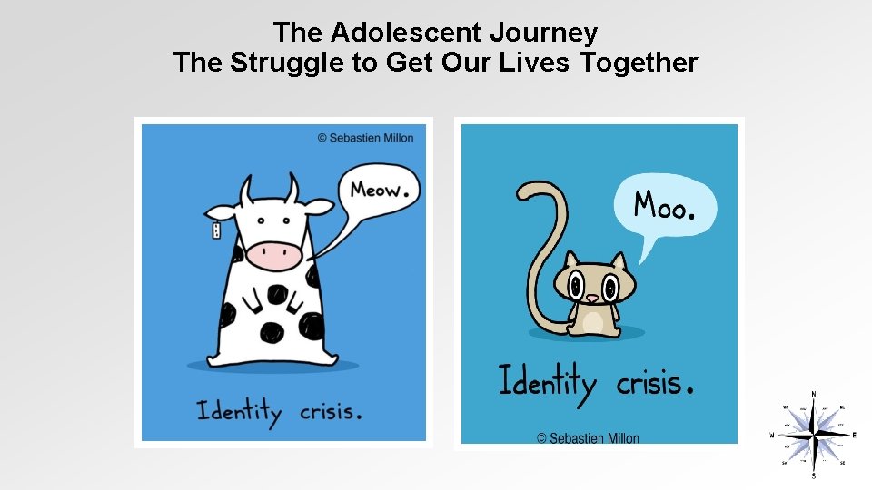 The Adolescent Journey The Struggle to Get Our Lives Together 