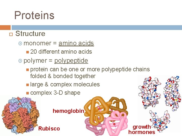 Proteins Structurally functionally diverse group of biomolecules Function