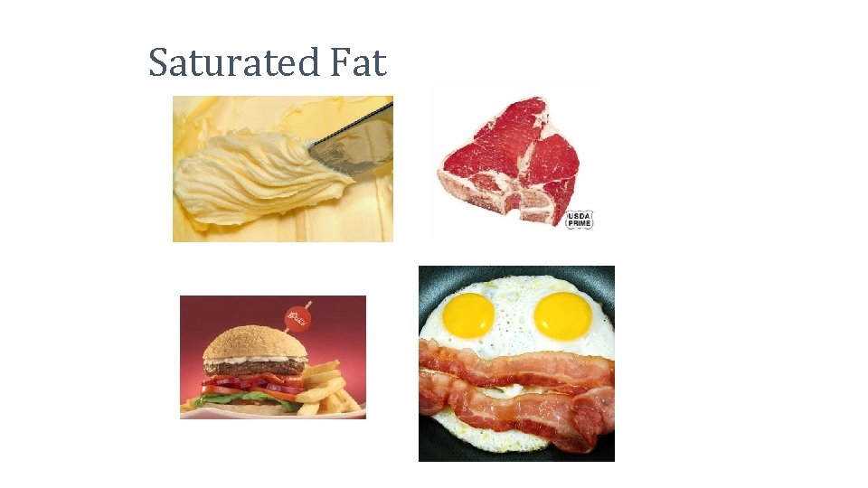 Saturated Fat 