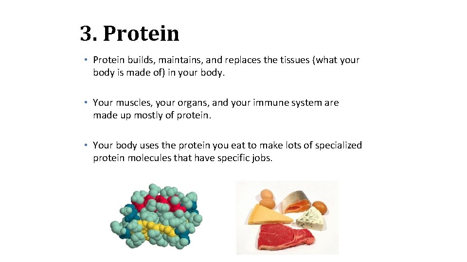 3. Protein • Protein builds, maintains, and replaces the tissues (what your body is