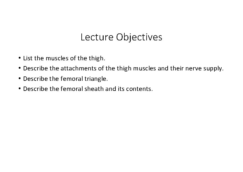 Lecture Objectives • List the muscles of the thigh. • Describe the attachments of