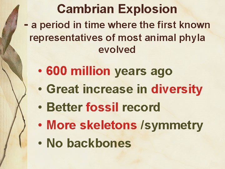 Cambrian Explosion - a period in time where the first known representatives of most