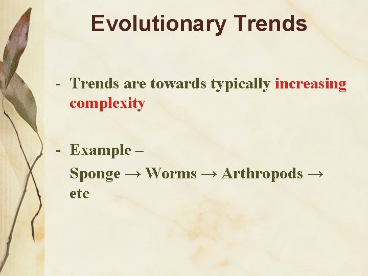 Evolutionary Trends - Trends are towards typically increasing complexity - Example – Sponge →