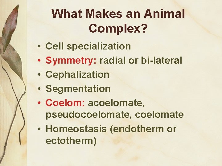 What Makes an Animal Complex? • • • Cell specialization Symmetry: radial or bi-lateral