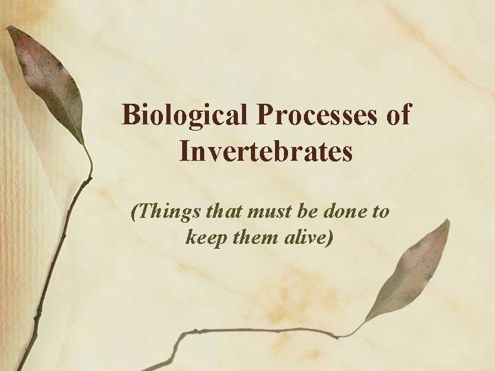 Biological Processes of Invertebrates (Things that must be done to keep them alive) 