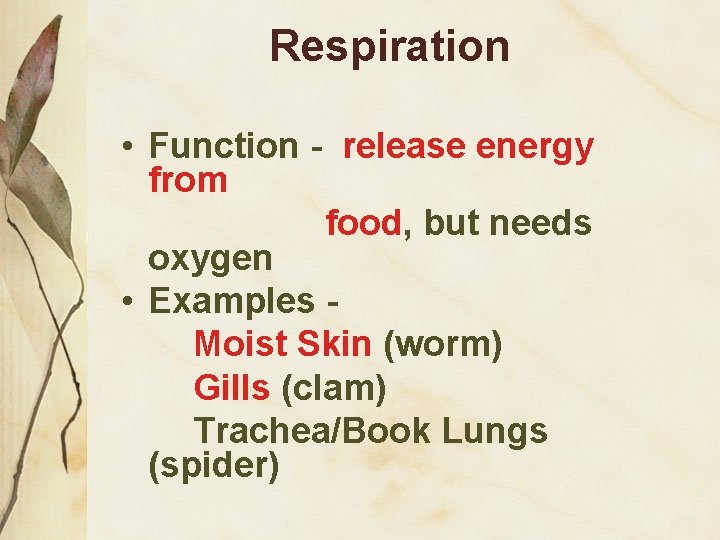Respiration • Function - release energy from food, but needs oxygen • Examples Moist
