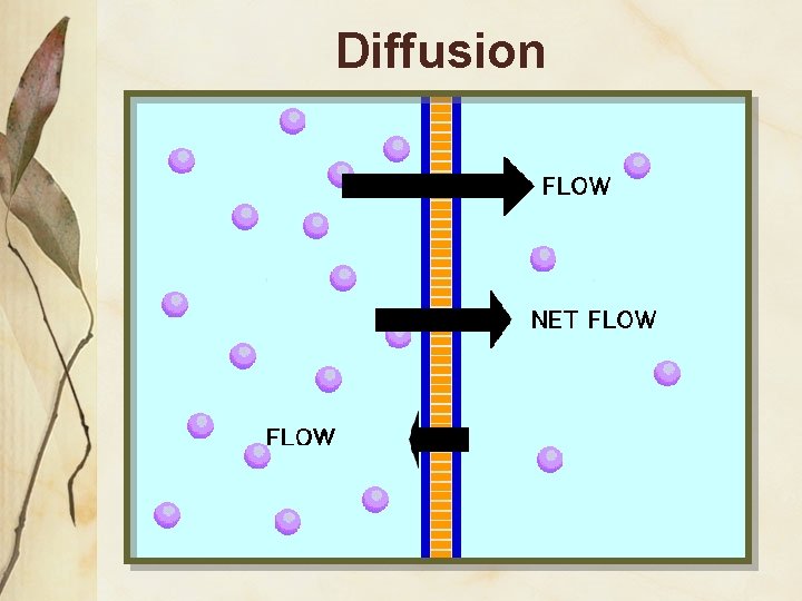 Diffusion 