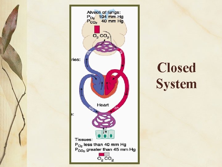 Closed System 