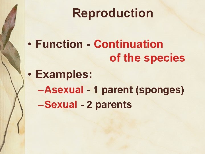 Reproduction • Function - Continuation of the species • Examples: – Asexual - 1