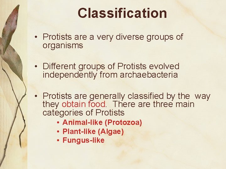 Classification • Protists are a very diverse groups of organisms • Different groups of