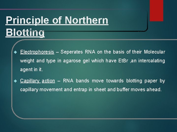 Principle of Northern Blotting Electrophoresis – Seperates RNA on the basis of their Molecular