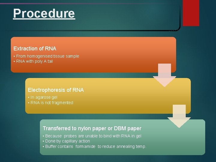 Procedure Extraction of RNA • From homogenised tissue sample • RNA with poly A