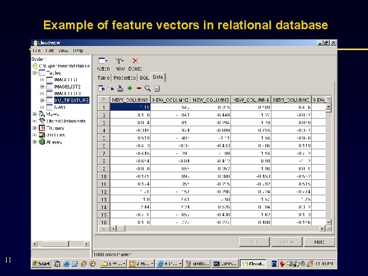 Example of feature vectors in relational database 11 