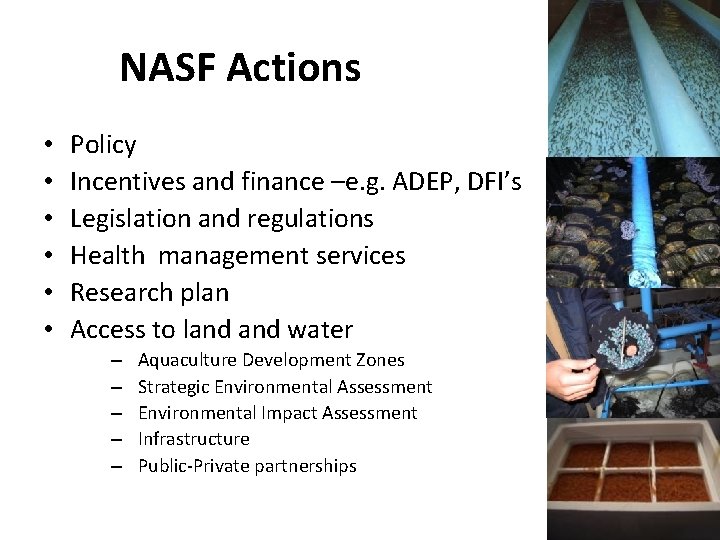 NASF Actions • • • Policy Incentives and finance –e. g. ADEP, DFI’s Legislation