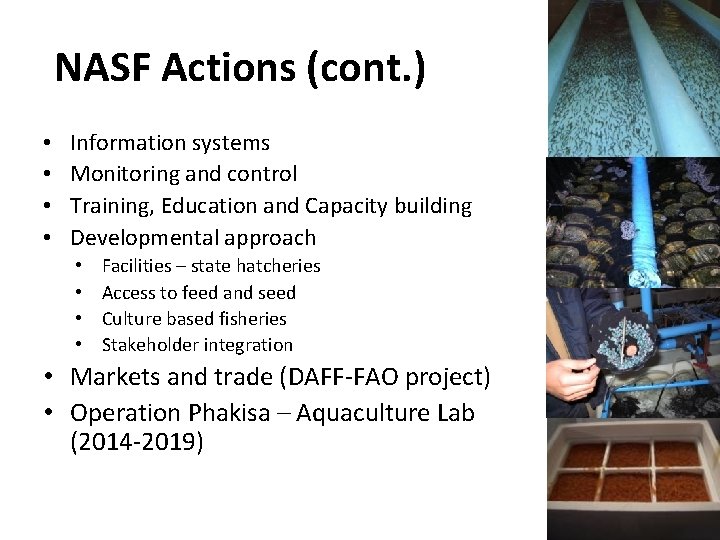 NASF Actions (cont. ) • • Information systems Monitoring and control Training, Education and